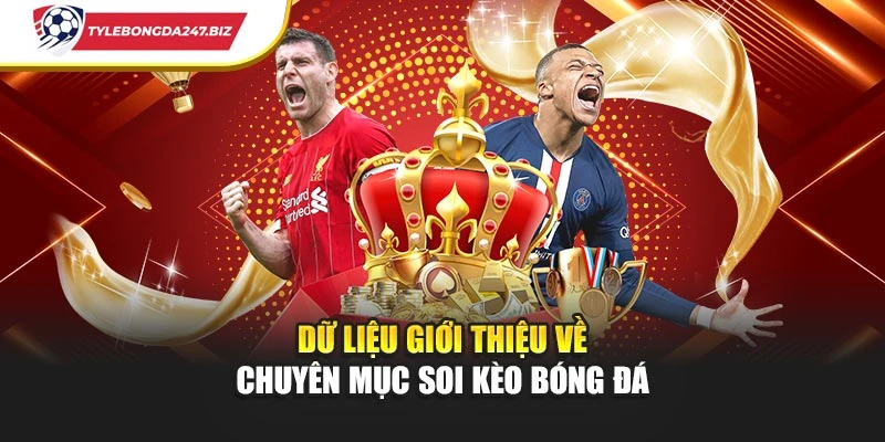 Dữ liệu giới thiệu về chuyên mục soi kèo bóng đá