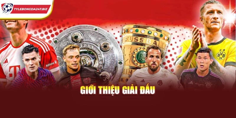 Giới thiệu giải đấu