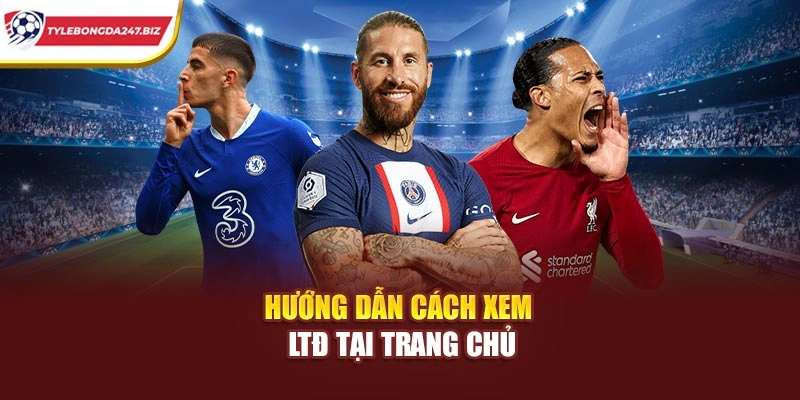 Hướng dẫn cách xem LTĐ tại trang chủ